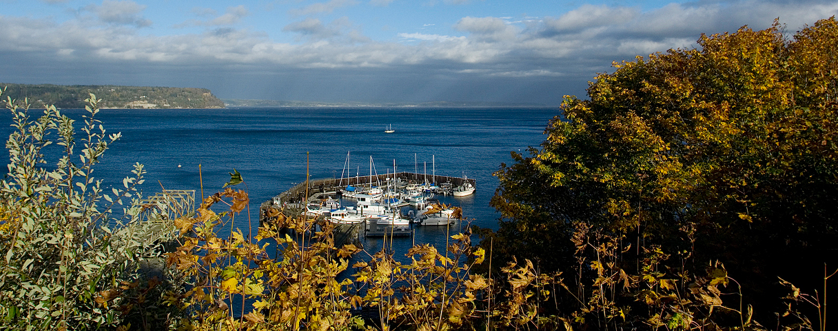 photo of langley marina