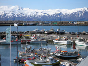 Húsavík is the major whale watching spot,