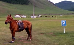 Mongolia,MusicForTheEyes