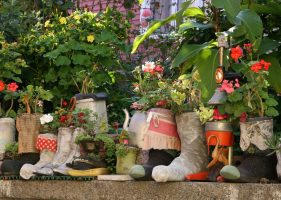 Flower Pots in Shoes