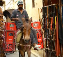 Fez,Morocco,MusicForTheEyes